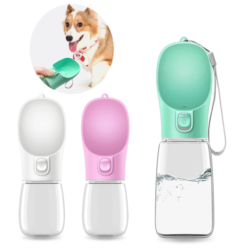 Dogs Travel Water