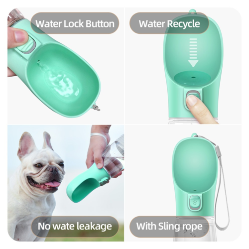 Dogs Travel Water
