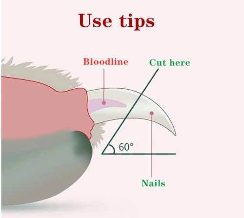 Pet Nail Scissors LED Nail Clipper Trimmer