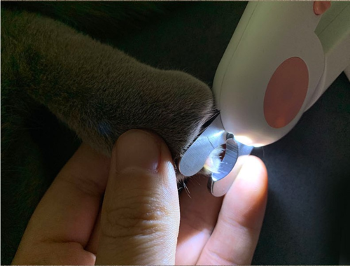 Pet Nail Scissors LED Nail Clipper Trimmer